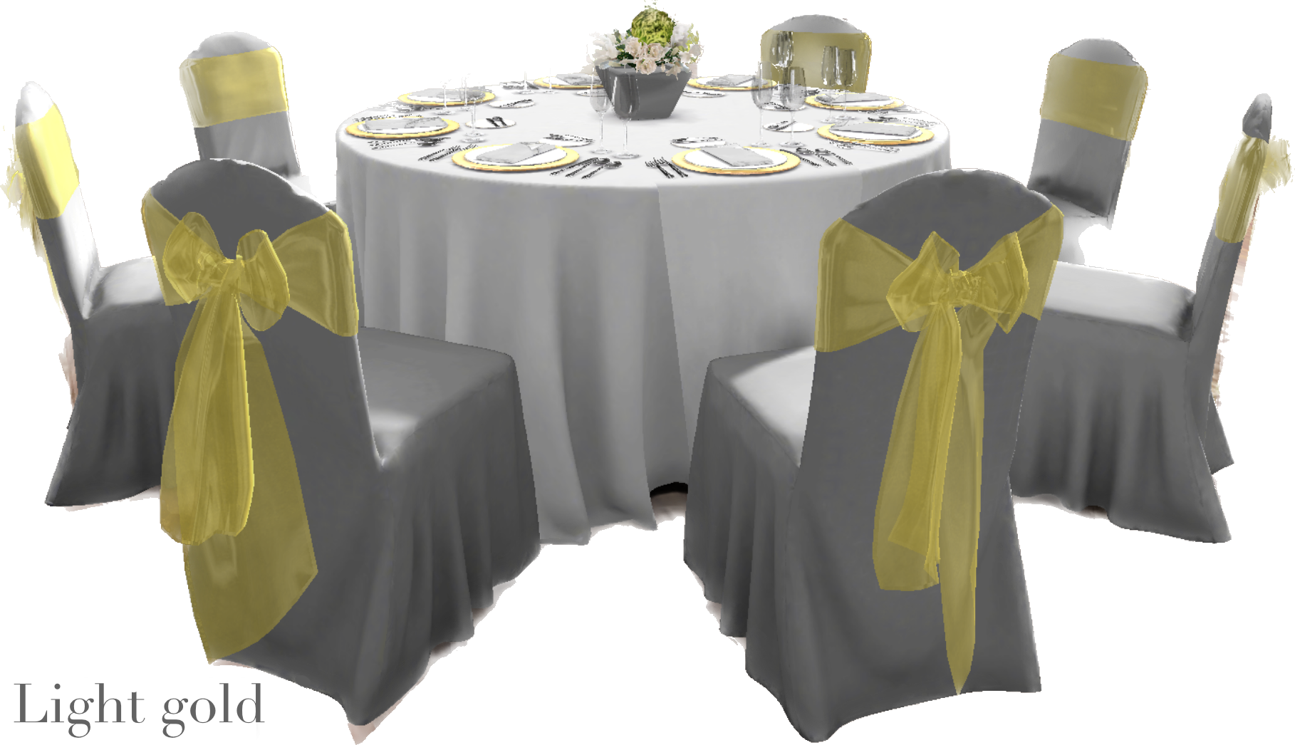 IMG_2882 Background Removed.png