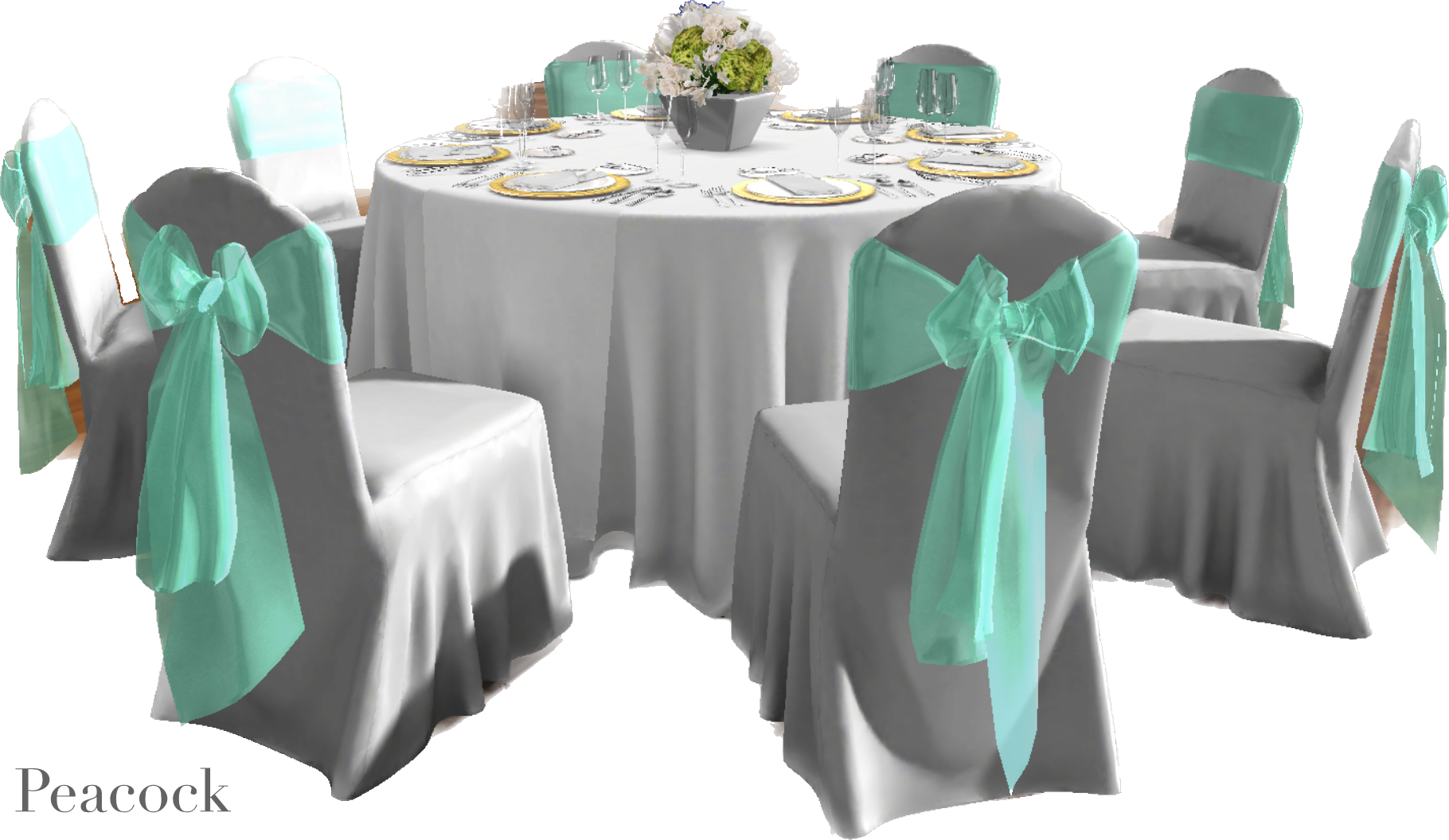 IMG_2878 Background Removed.png