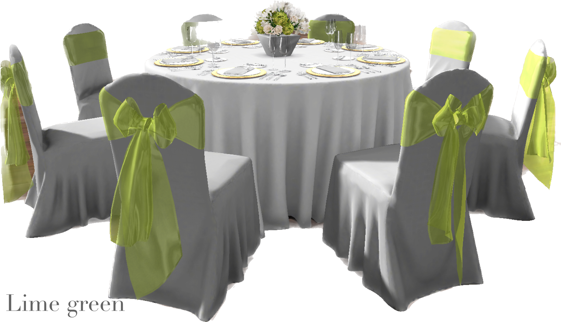 IMG_2868 Background Removed.png