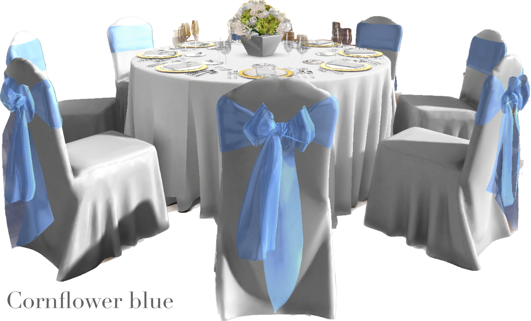 IMG_2879 Background Removed.png