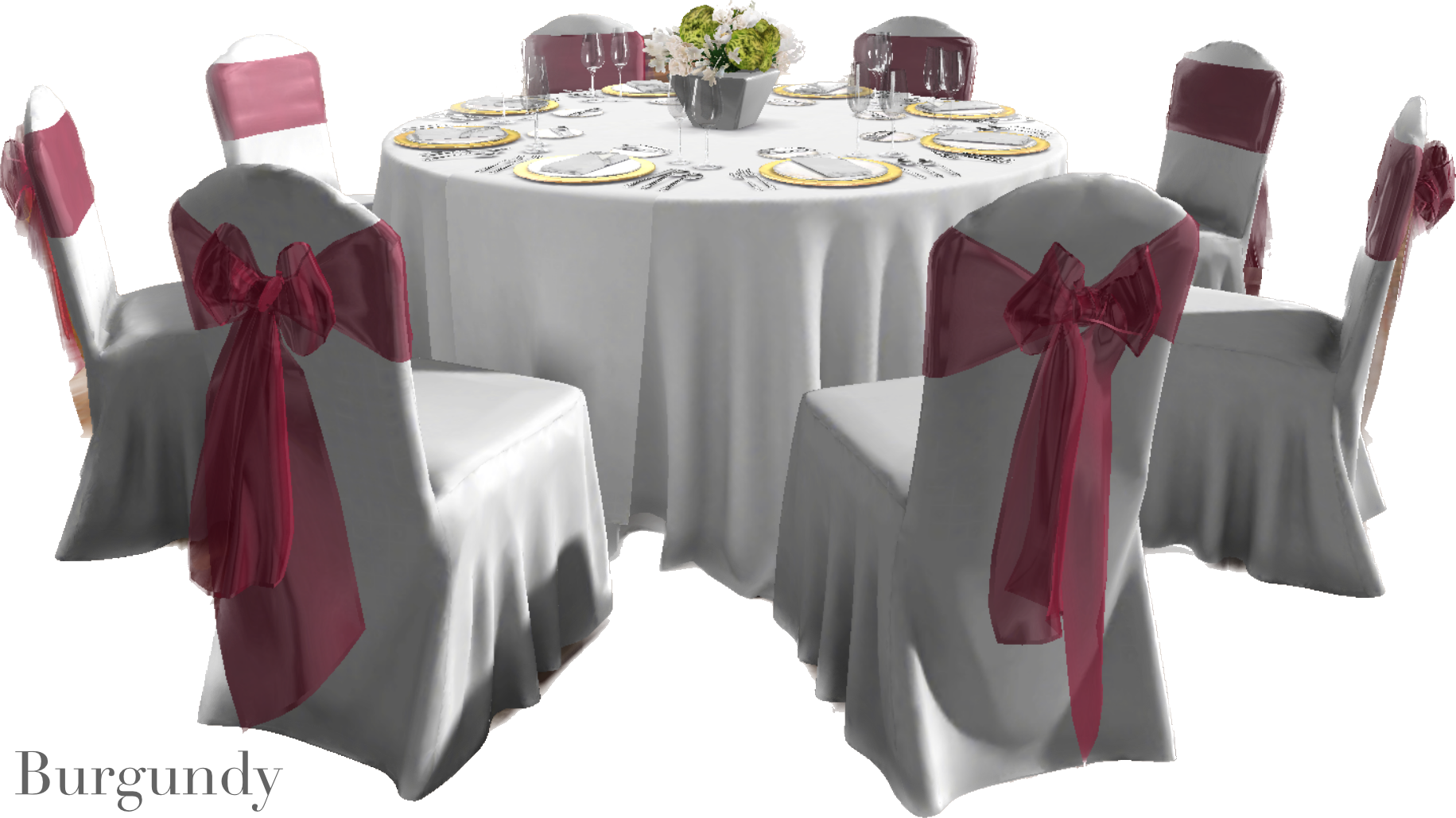 IMG_2873 Background Removed.png