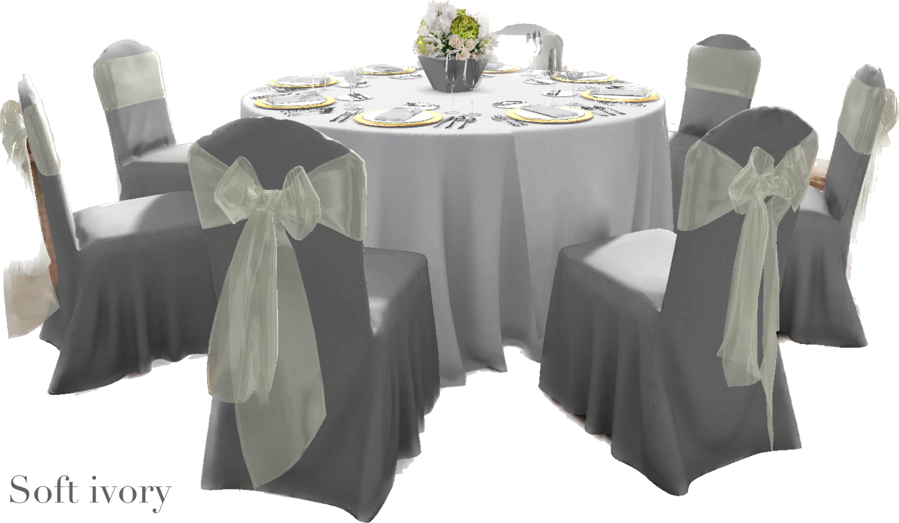 IMG_2863 Background Removed.png