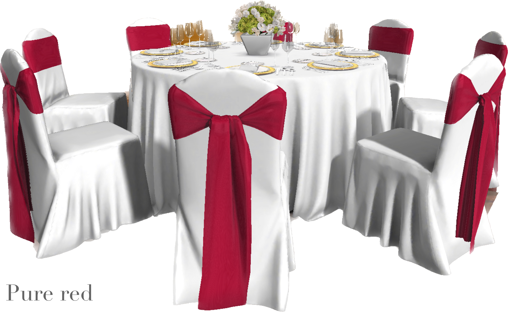 IMG_2895 Background Removed.png