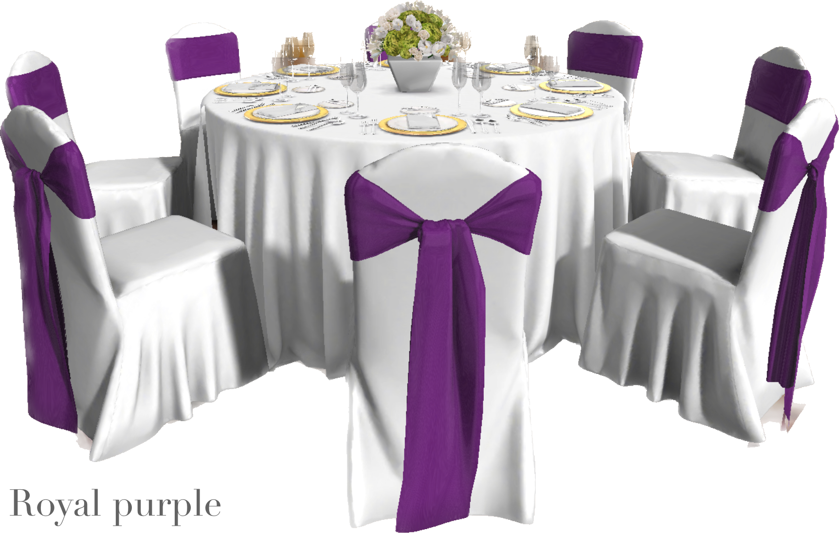 IMG_2886 Background Removed.png