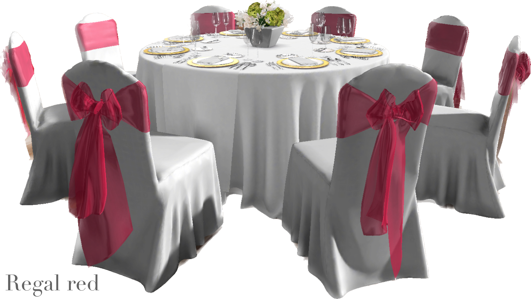 IMG_2872 Background Removed.png