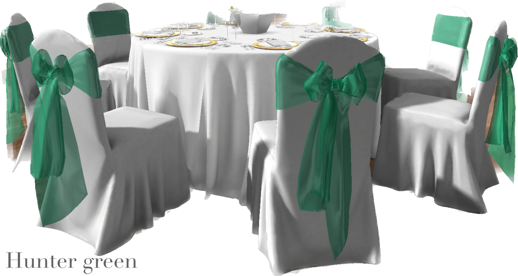 IMG_2870 Background Removed.png