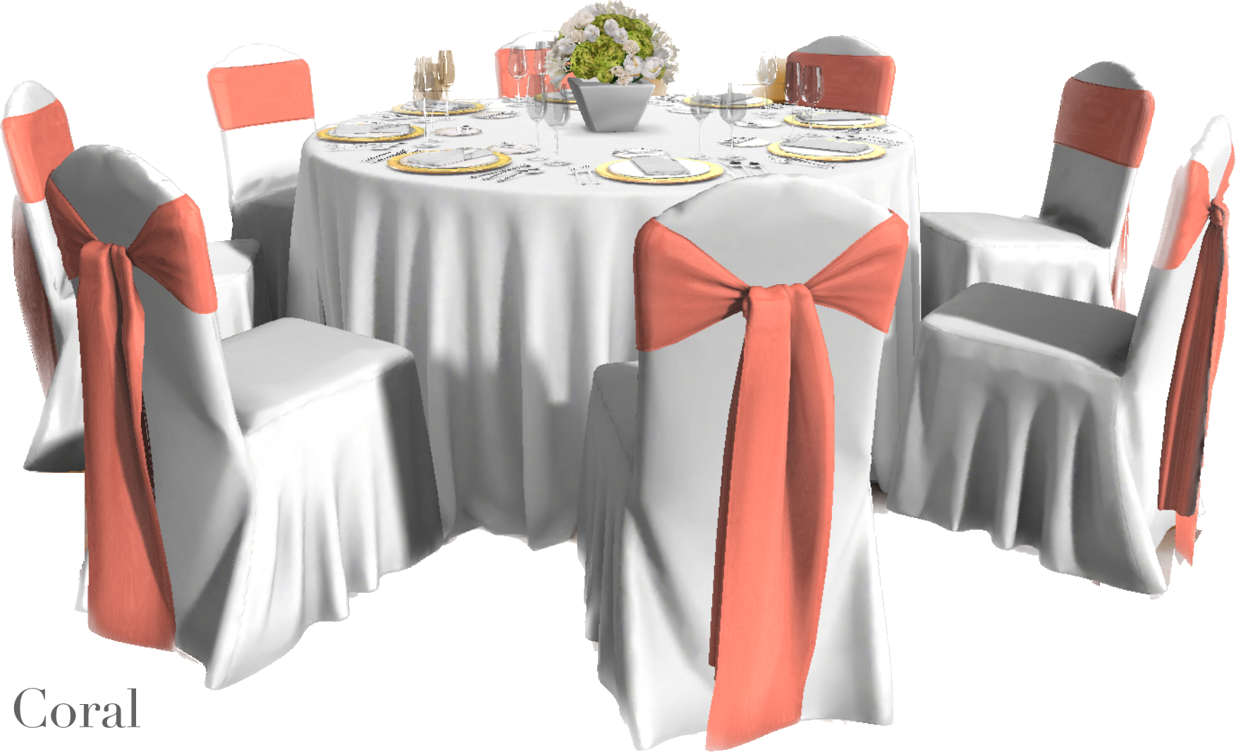 IMG_2890 Background Removed.png