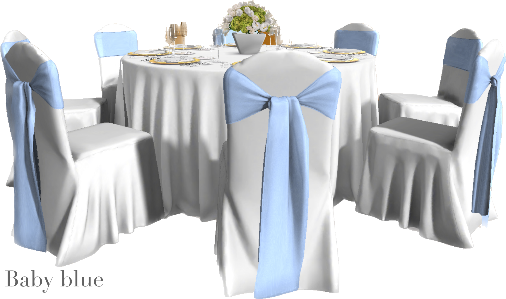 IMG_2885 Background Removed.png