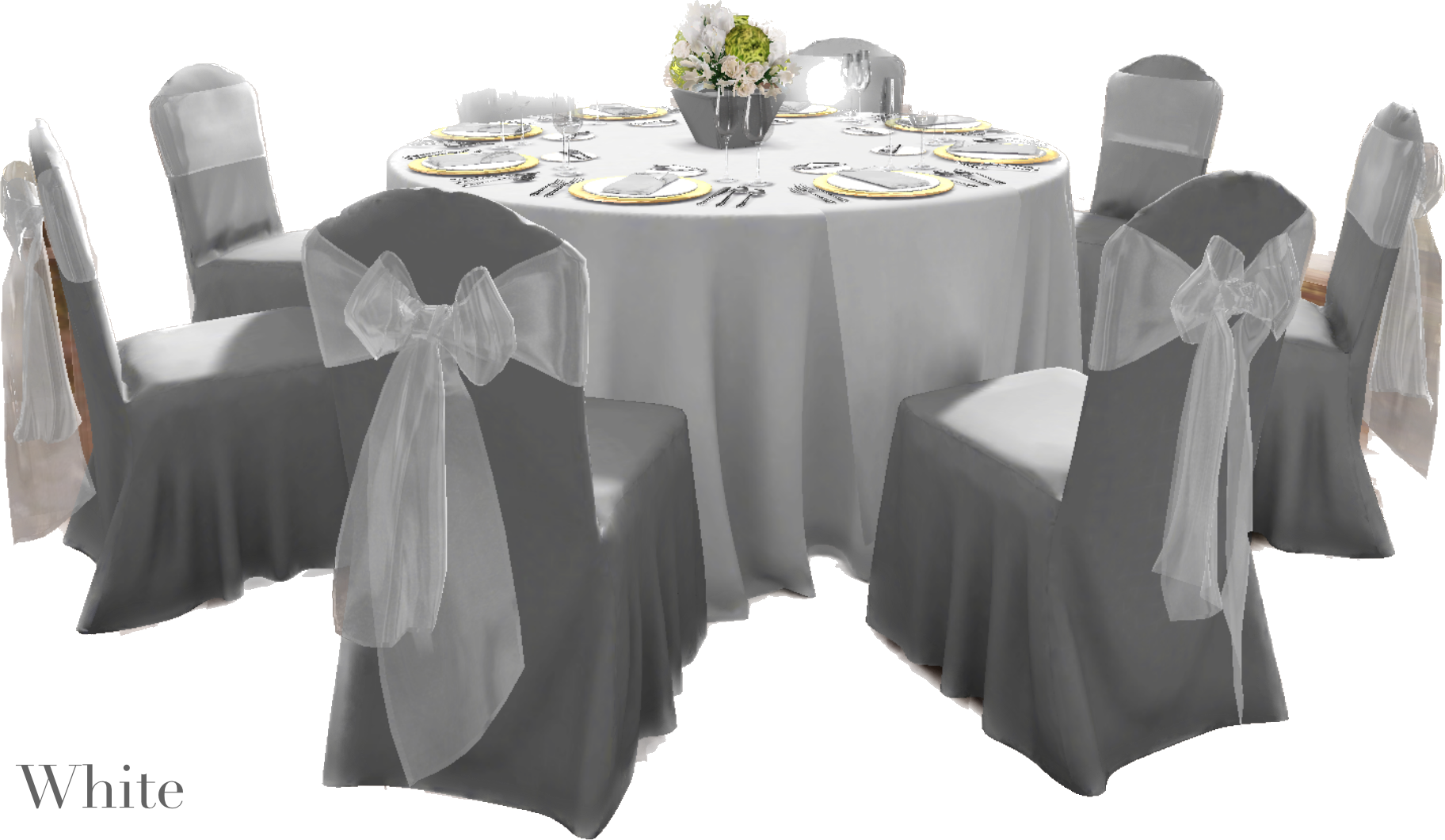 IMG_2862 Background Removed.png