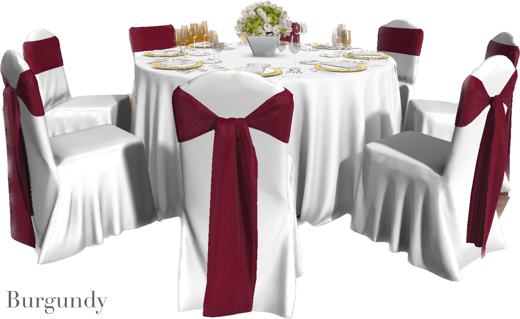 IMG_2896 Background Removed.png