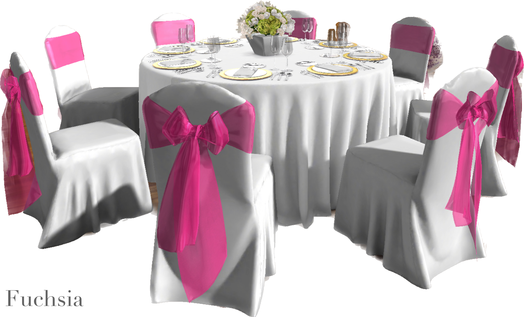 IMG_2866 Background Removed.png