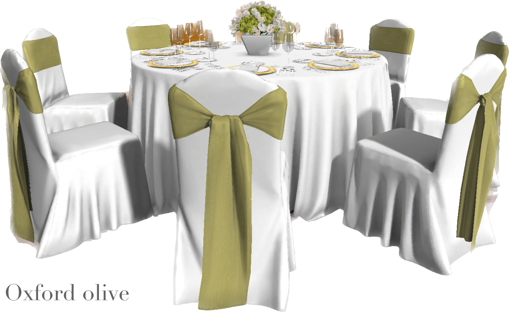 IMG_2894 Background Removed.png