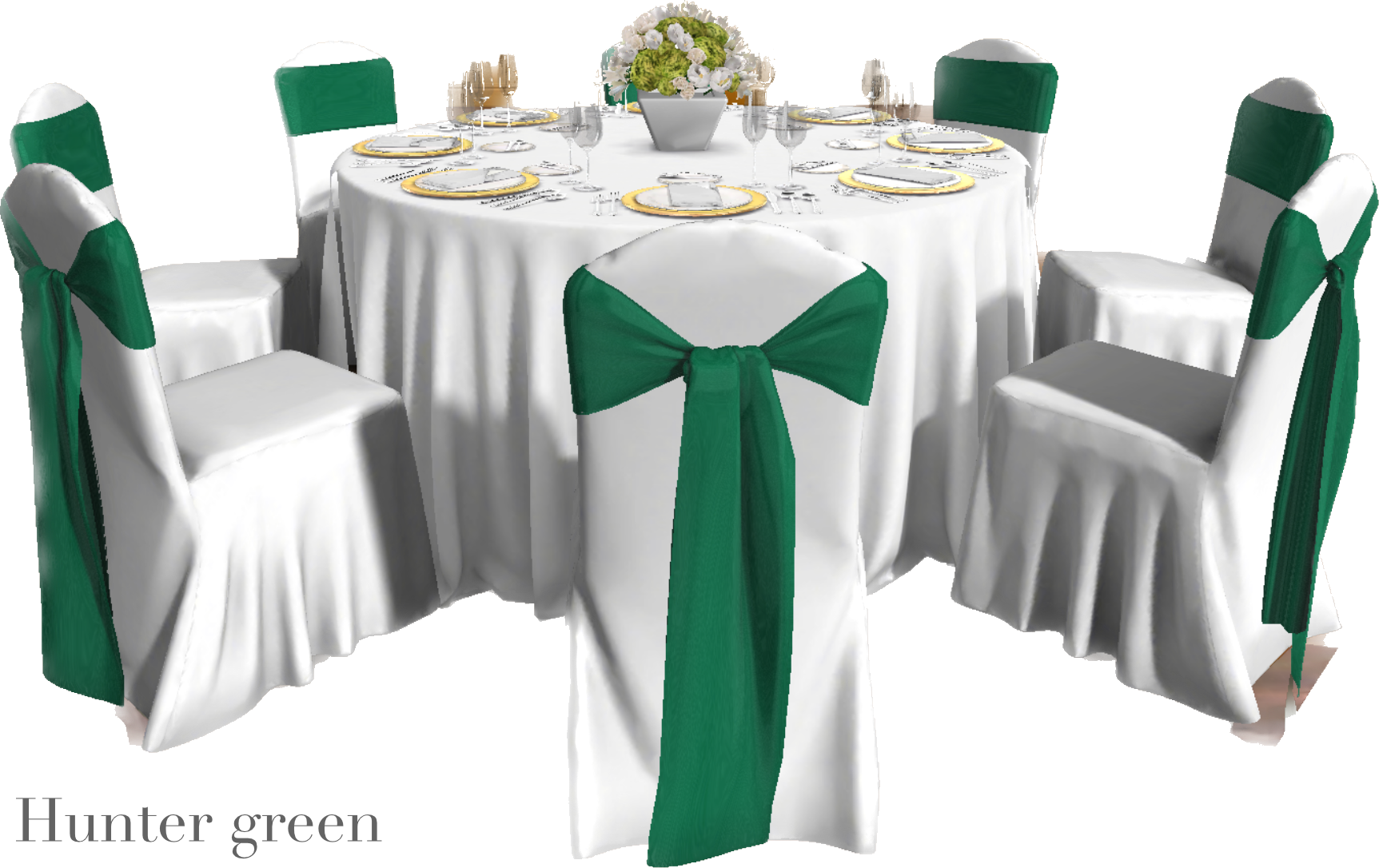 IMG_2893 Background Removed.png