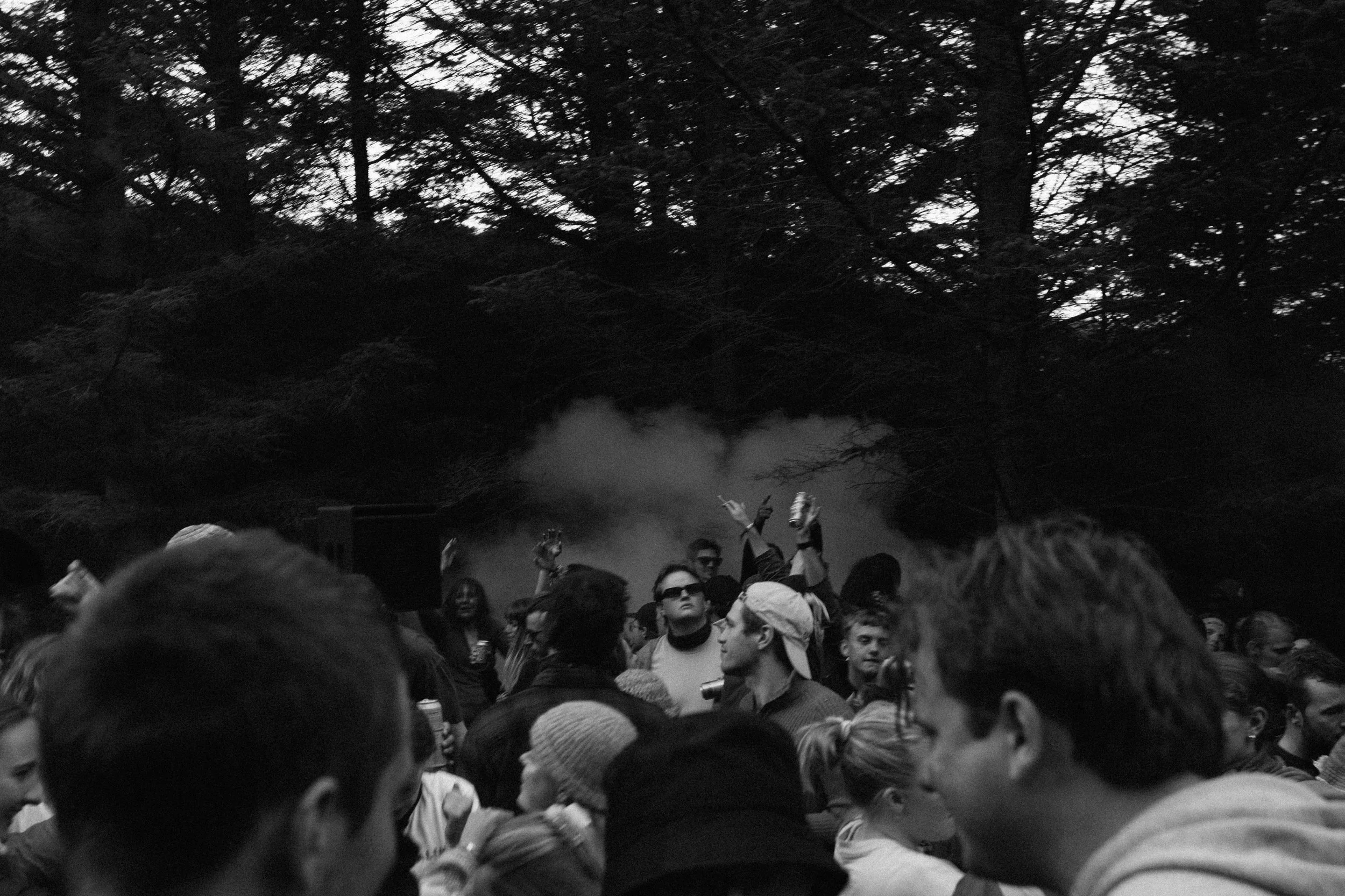 Elgen skogsrave.webp