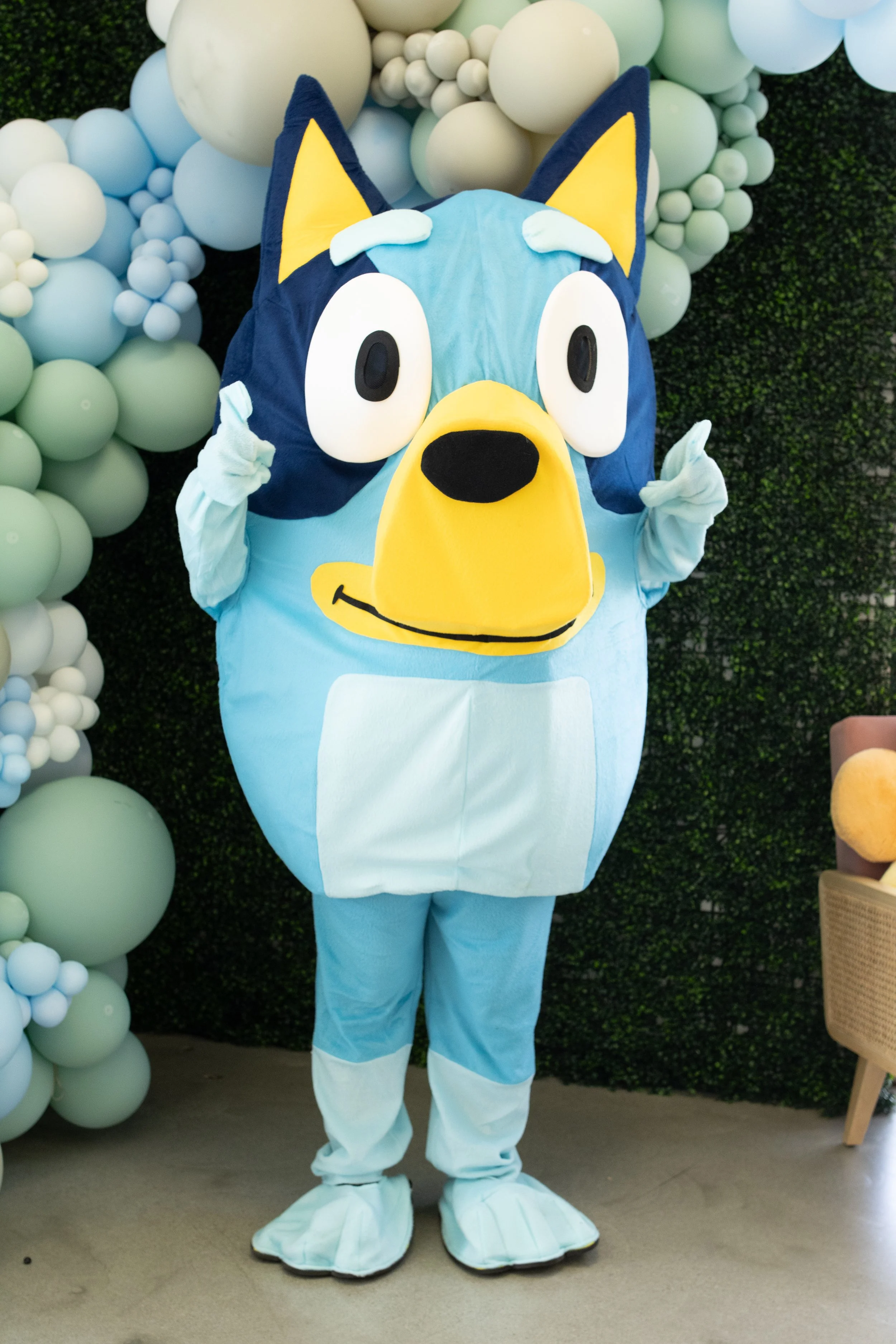 Person in a blue and white dog costume standing in front of a decorative backdrop with balloons and greenery.