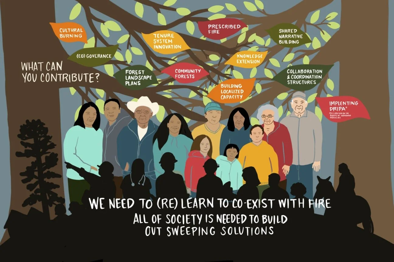 What Can You Contribute?