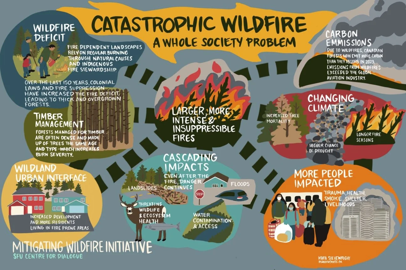 Catastrophic Wildfire: A Whole Society Problem