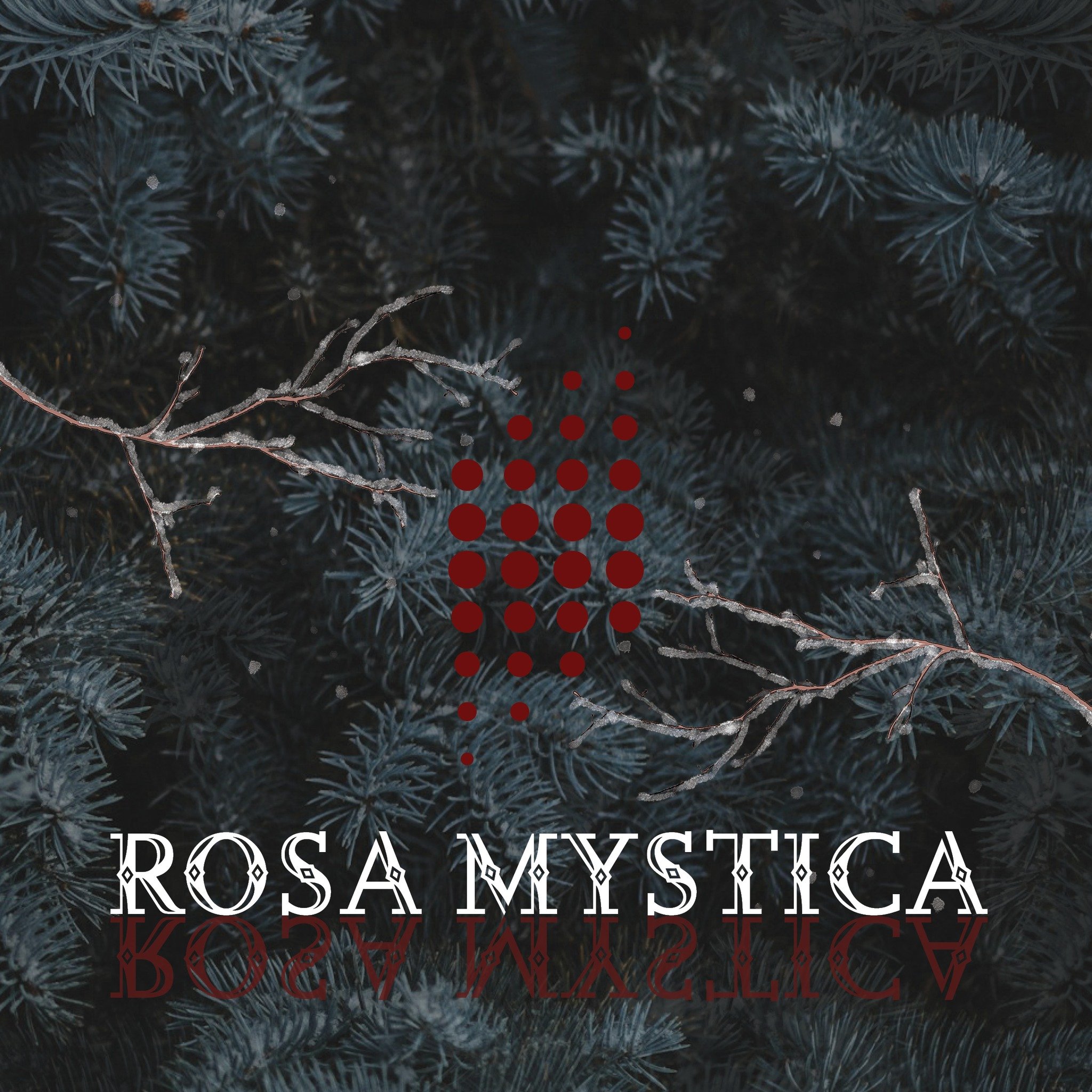 Med julekonserten &laquo;Rosa Mystica&raquo; &oslash;nsker vi i Kammerkoret NOVA &aring; skape den klassiske julef&oslash;lelsen, s&aring; vel som &aring; gi rom til det mystiske og evig g&aring;tefulle julen har i seg.
Vi vil presentere kjente og kj