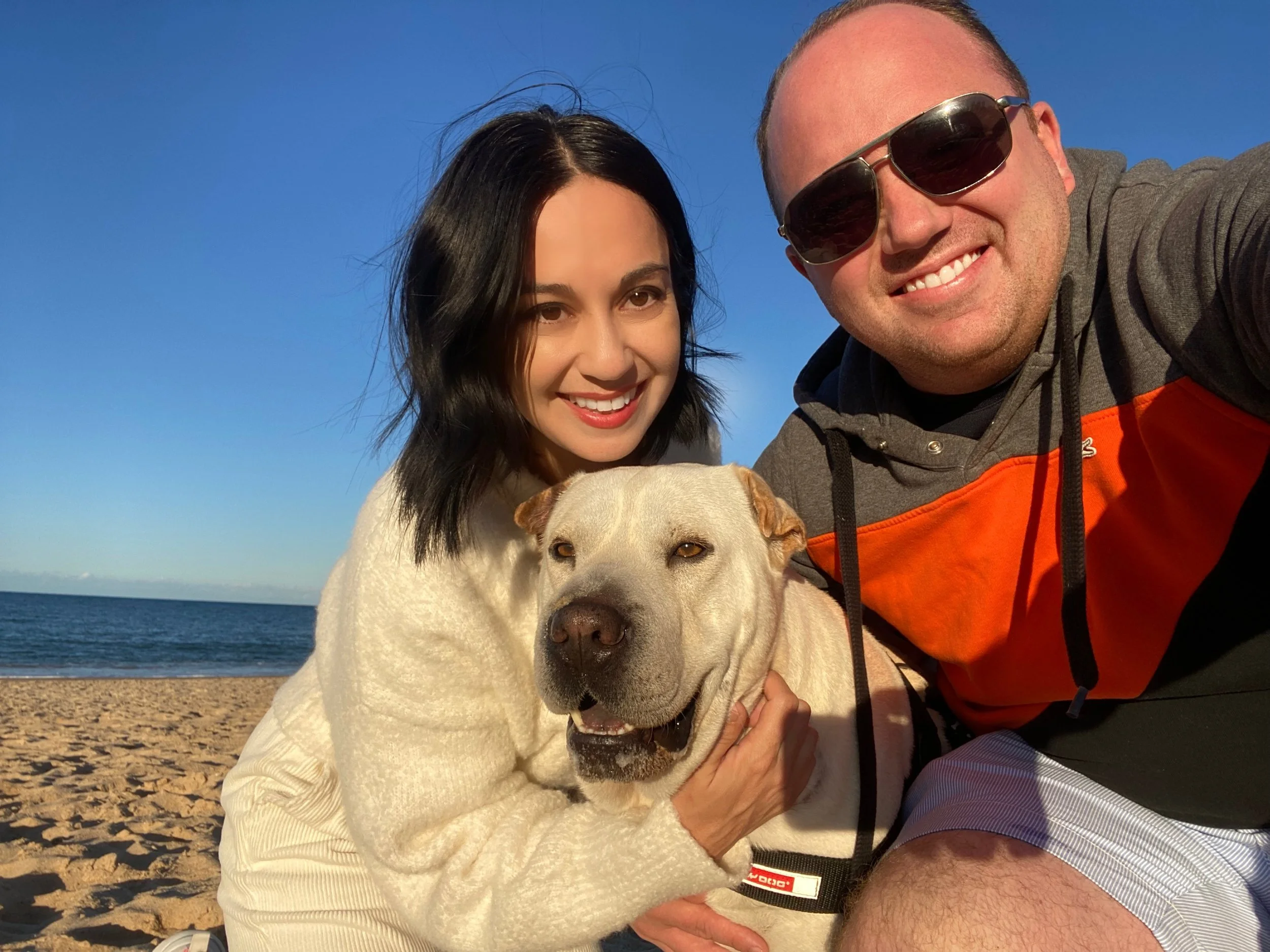 The day our beautiful foster-fail Lex officially became our good boy.