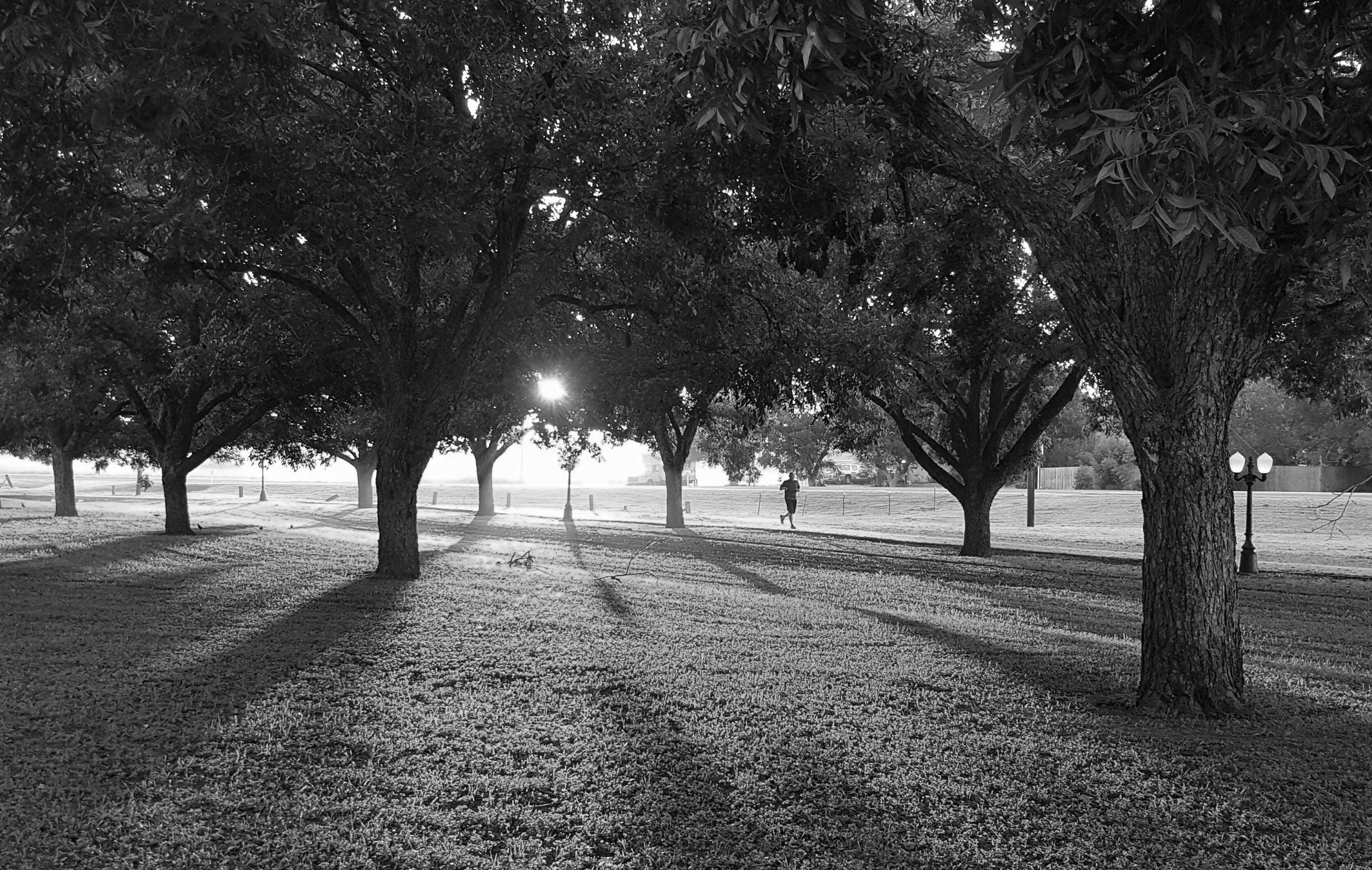 4 Brisbane Suburbs Where Locals Never Leave