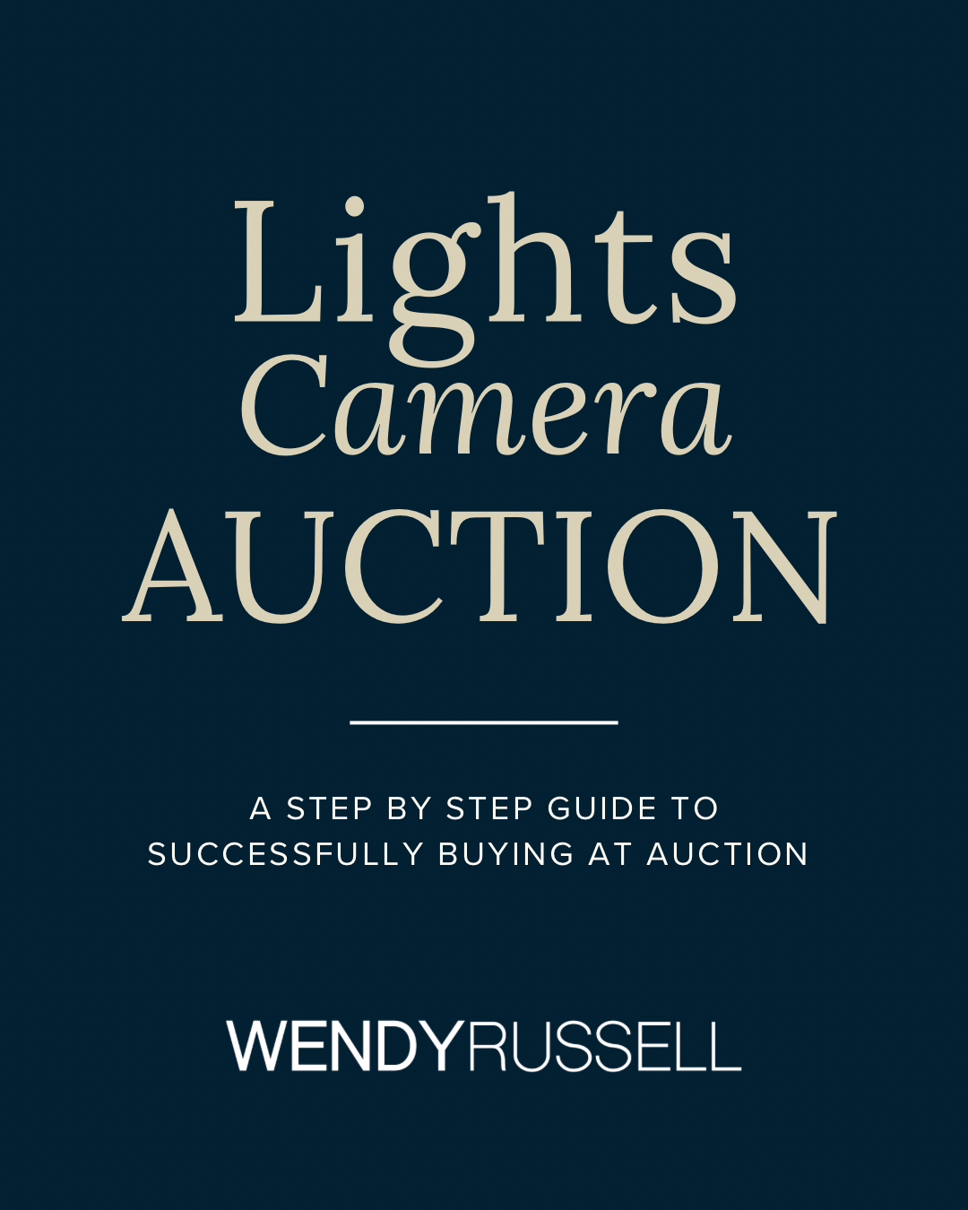 Lights Camera Auction!