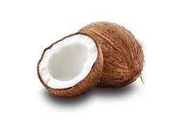cocnut.jpeg
