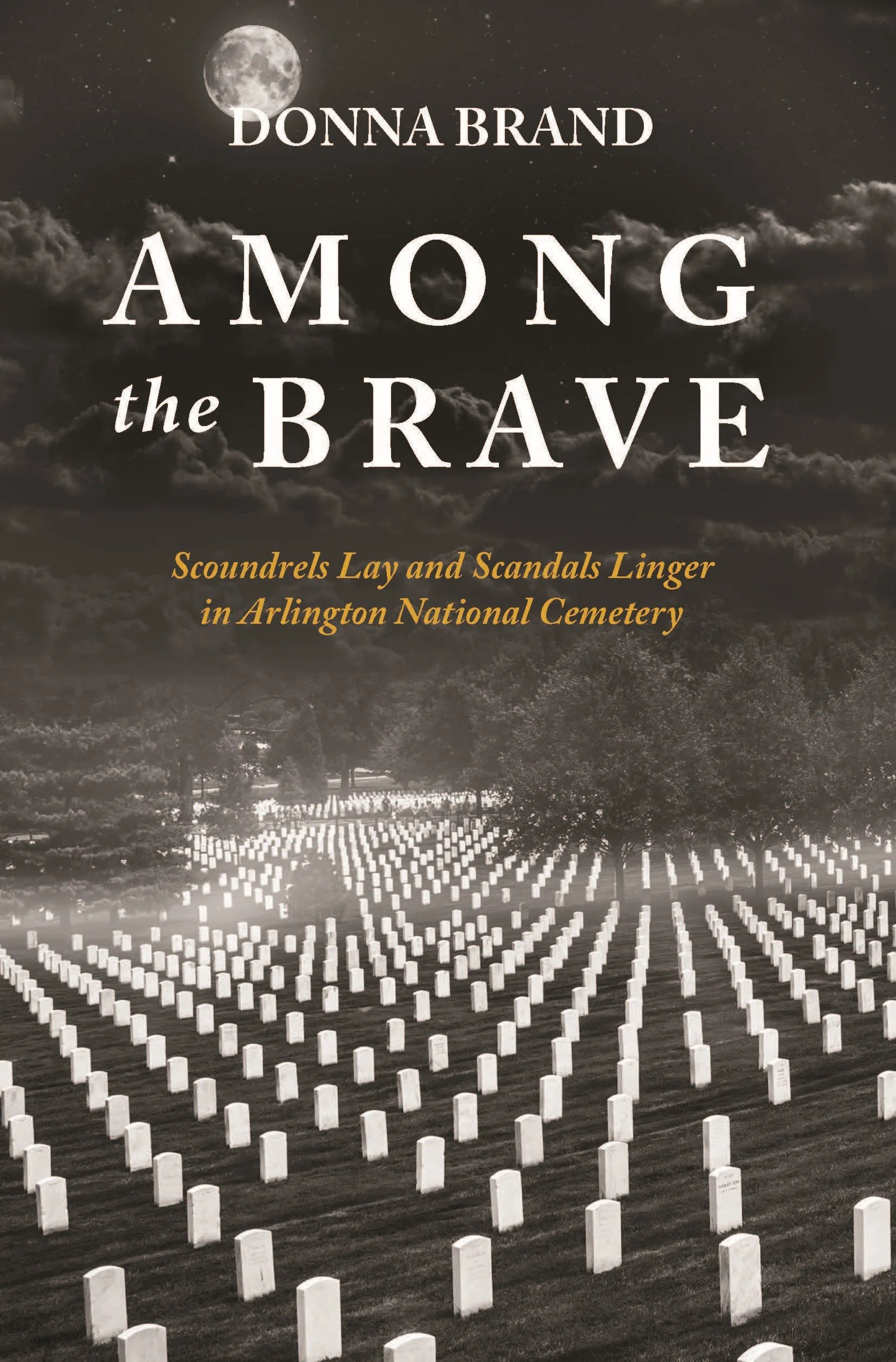 Among the Brave template 2 19.jpg