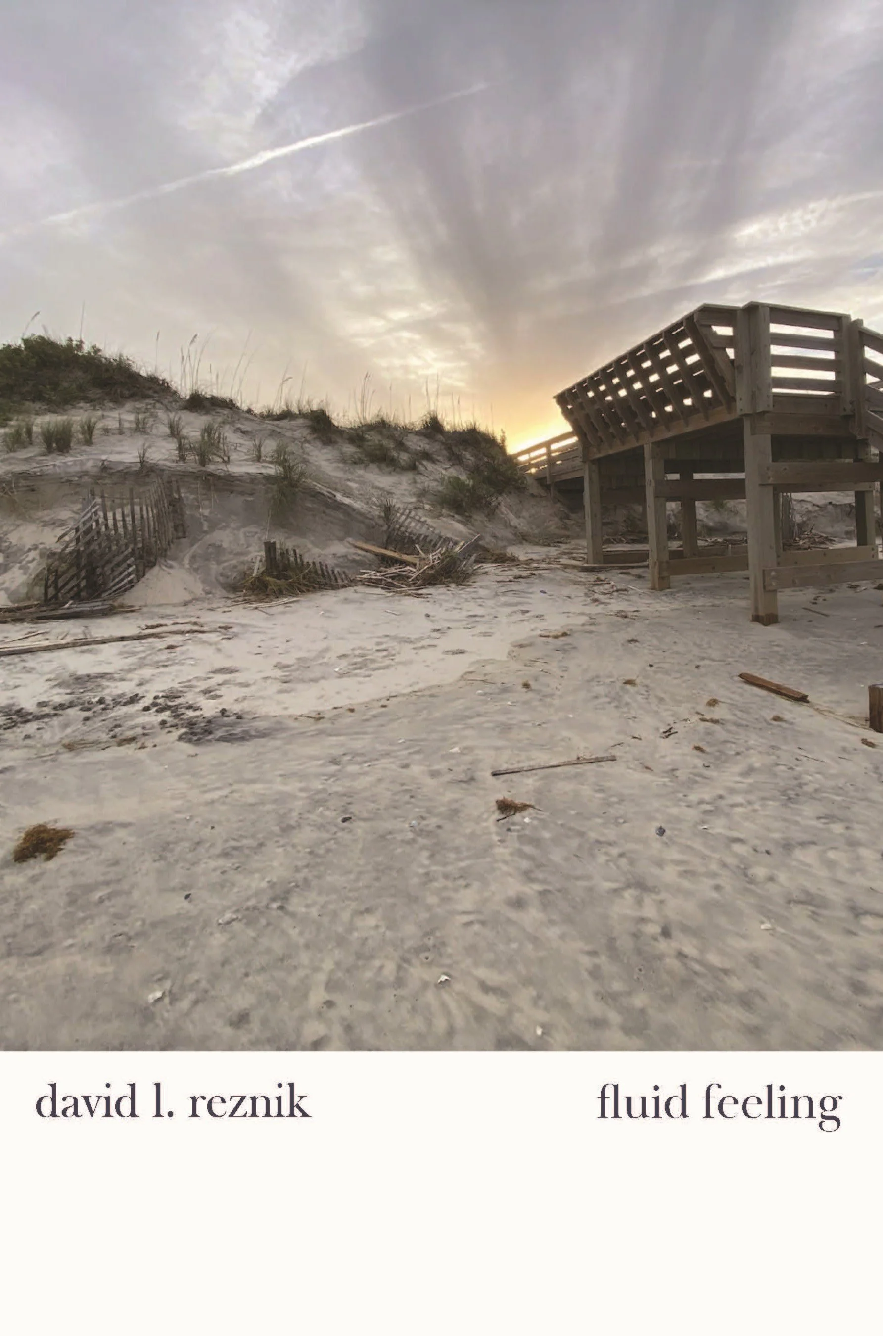 fluid feeling cover for website.jpg