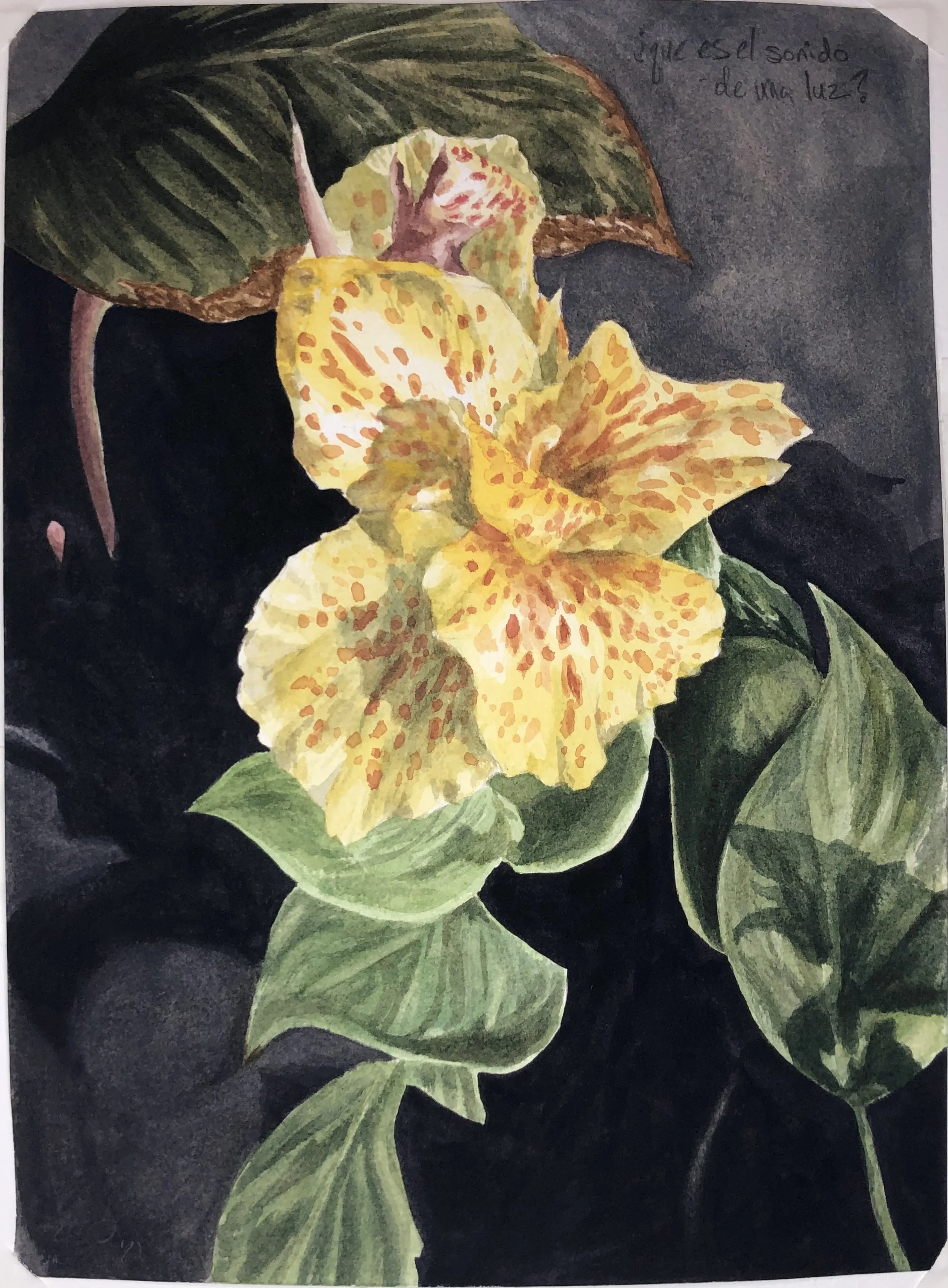 "la tierra da luz a una estrella" Watercolor on paper. 11.5 x 8.5 IN. 2021.