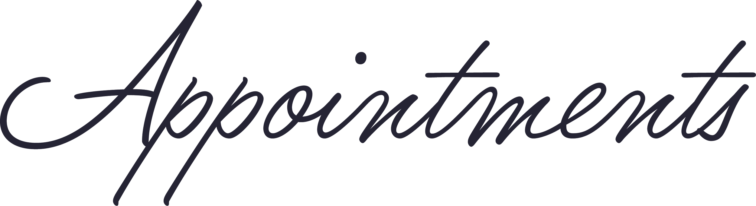 Stylized, cursive text spelling 'Appointments' in dark blue.
