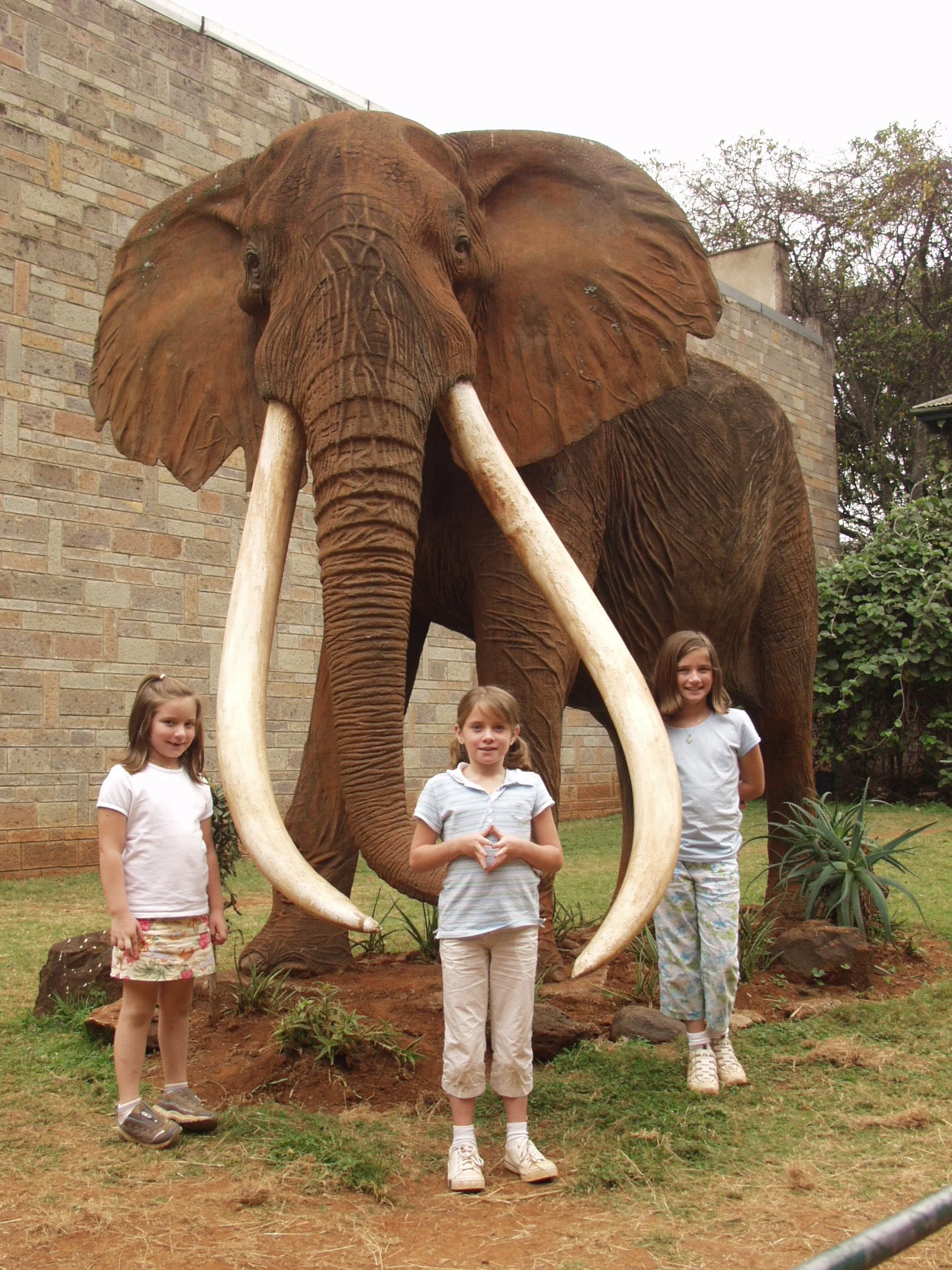 Three young girls standing in front of a large wooden elephant statue with big white tusks, in a garden area with a brick wall and plants in the background.