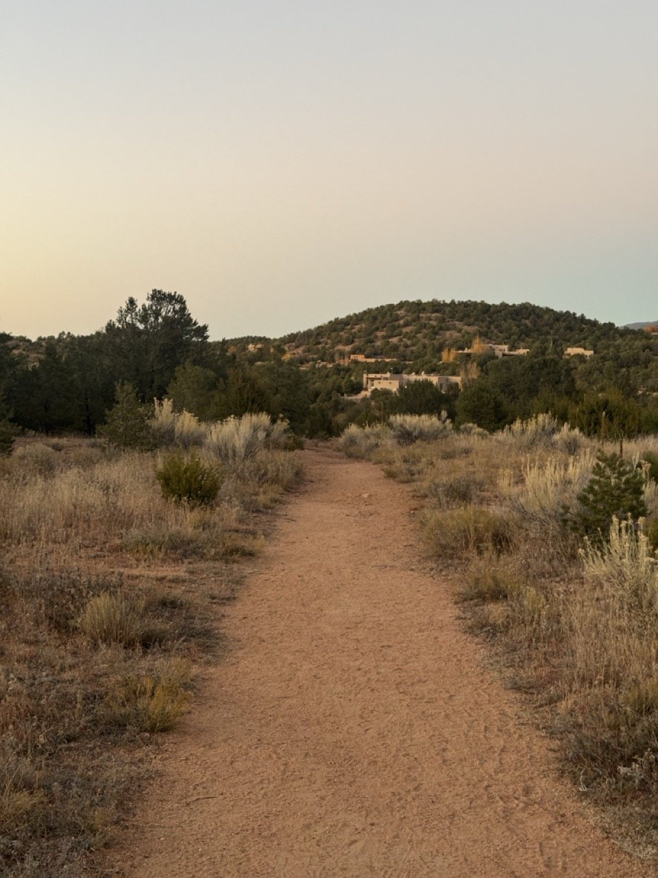 A dirt trail winding through a semi-arid landscape with sparse bushes and trees, leading up to houses on a hill in the distance under a clear sky.