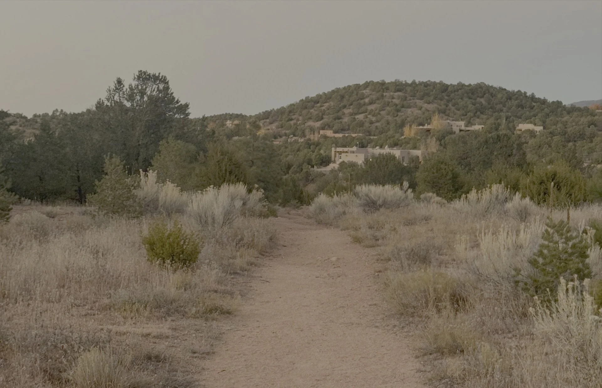 A dirt trail running through a semi-arid landscape with sparse shrubs and trees, leading towards a hillside with scattered houses and lush green vegetation in the background.
