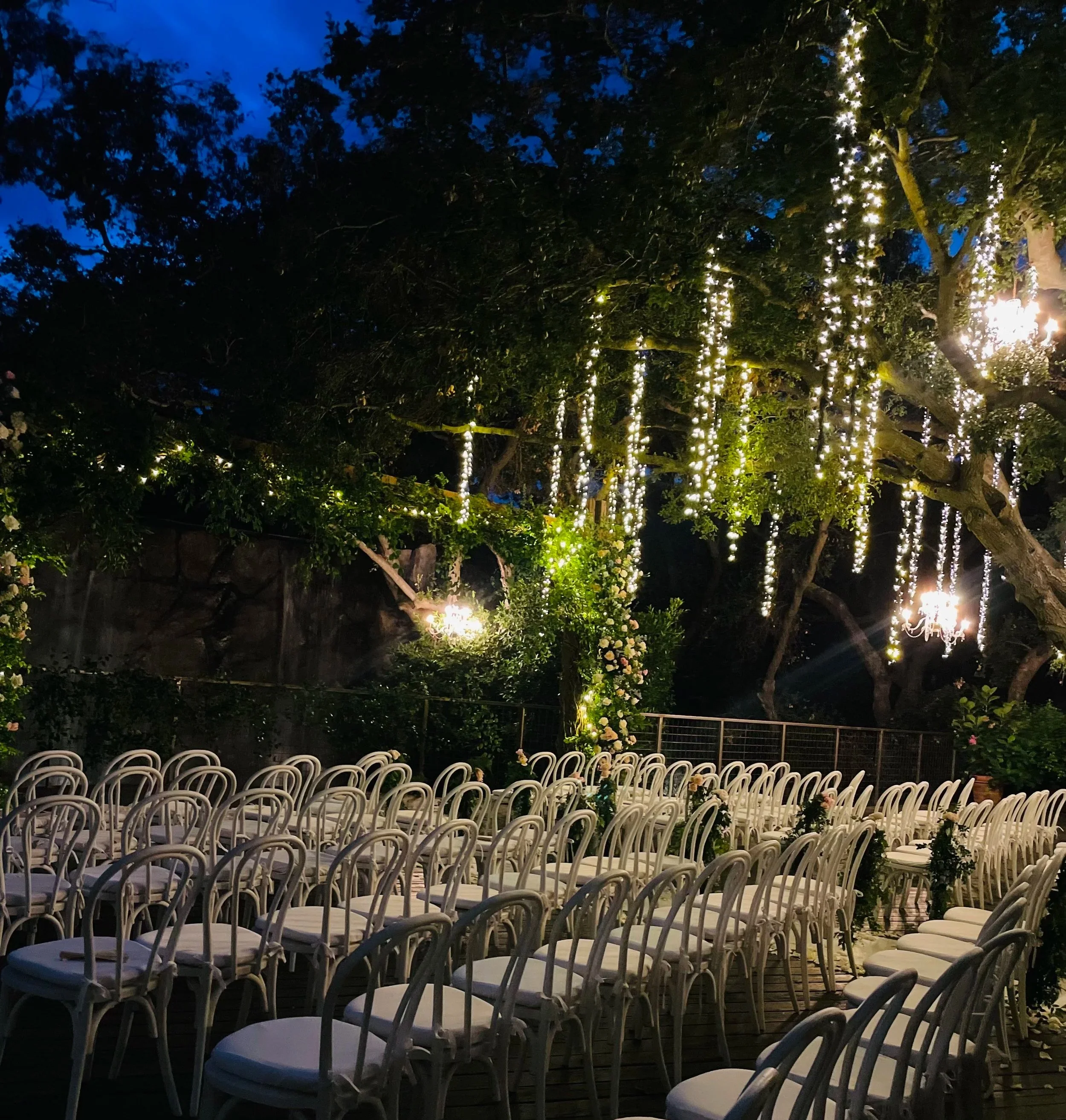 A newlywed couple walking arm-in-arm through a crowd of guests throwing flower petals outdoors during a wedding ceremony, with mountains and trees in the background.