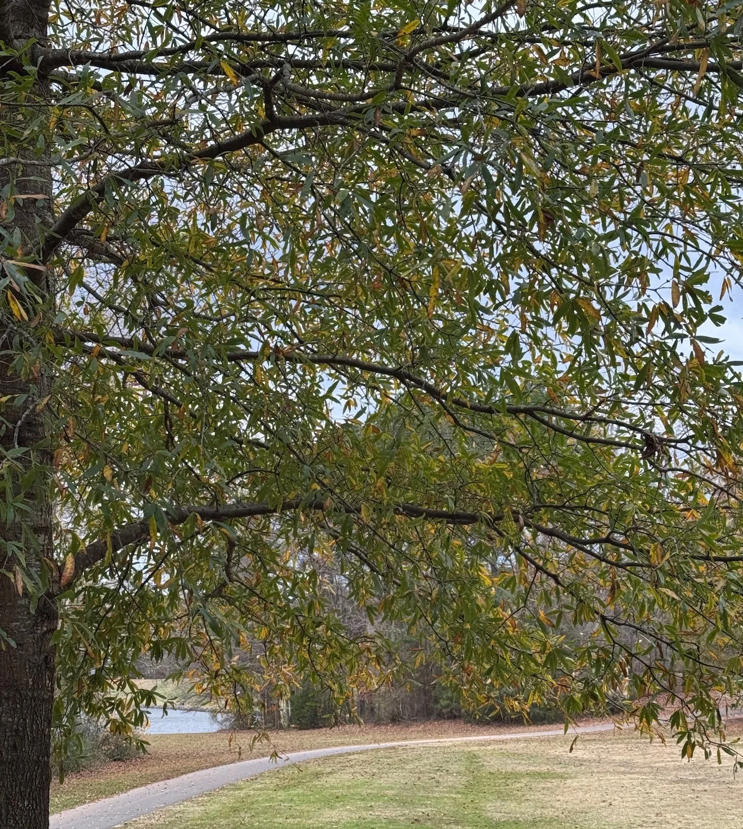 Boundaries Aren’t About Protection—They’re About Your  Energy