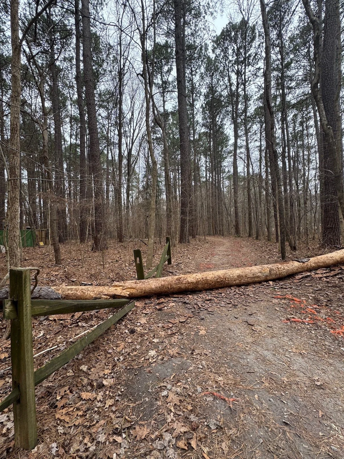 When Capacity Is the Issue