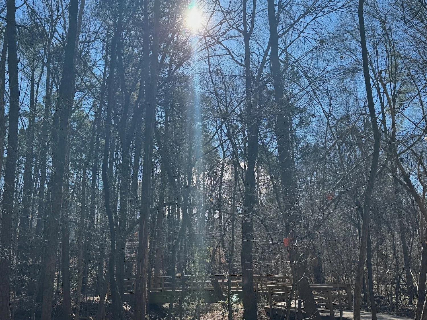 Taking On Other People’s Emotions