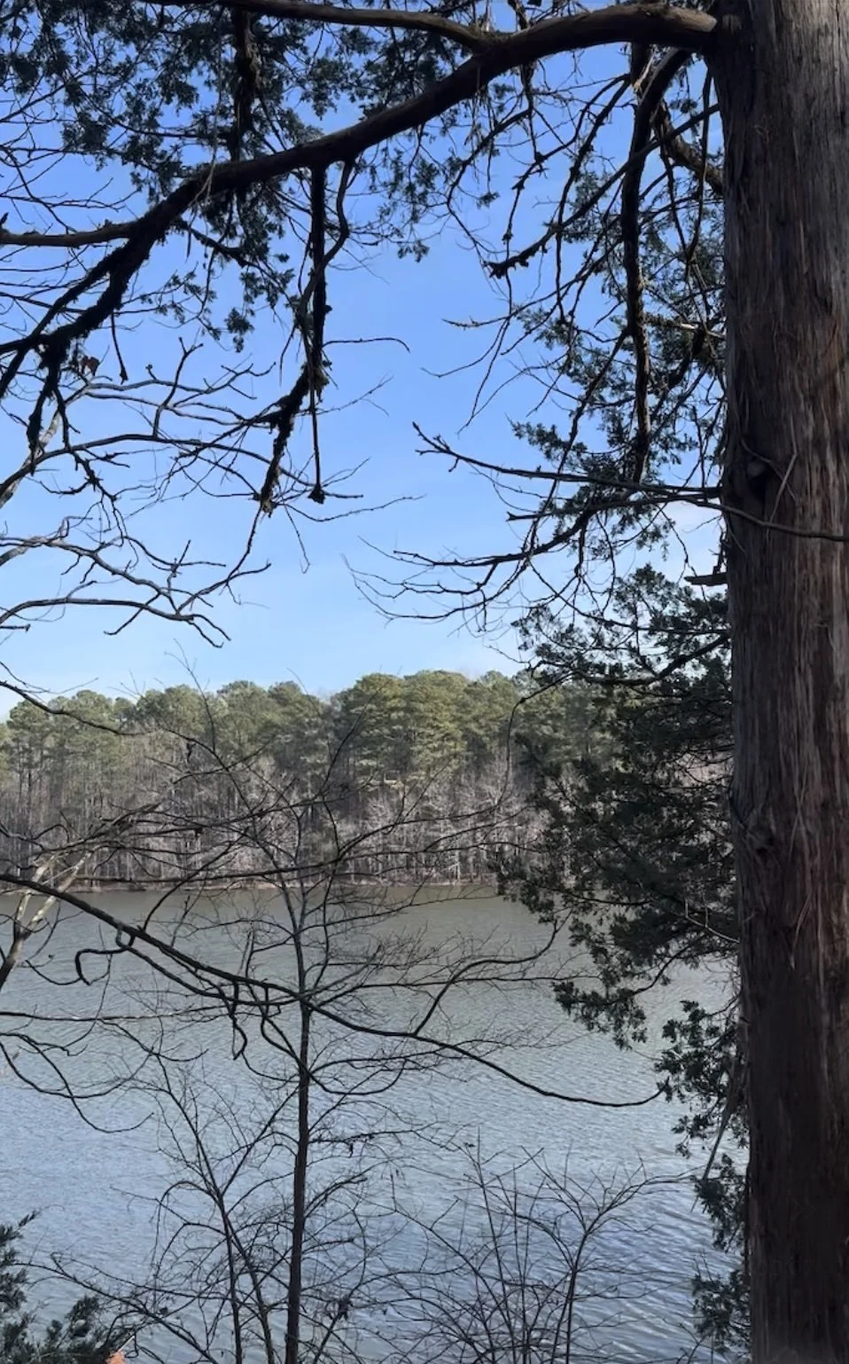 Divorce Is More Than a Legal Process