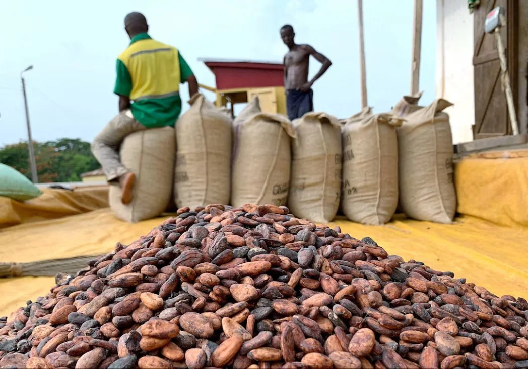 Ghana Cuts Cocoa Producer Price to GHS41,392 as World Market Price Drops to US$4,100
