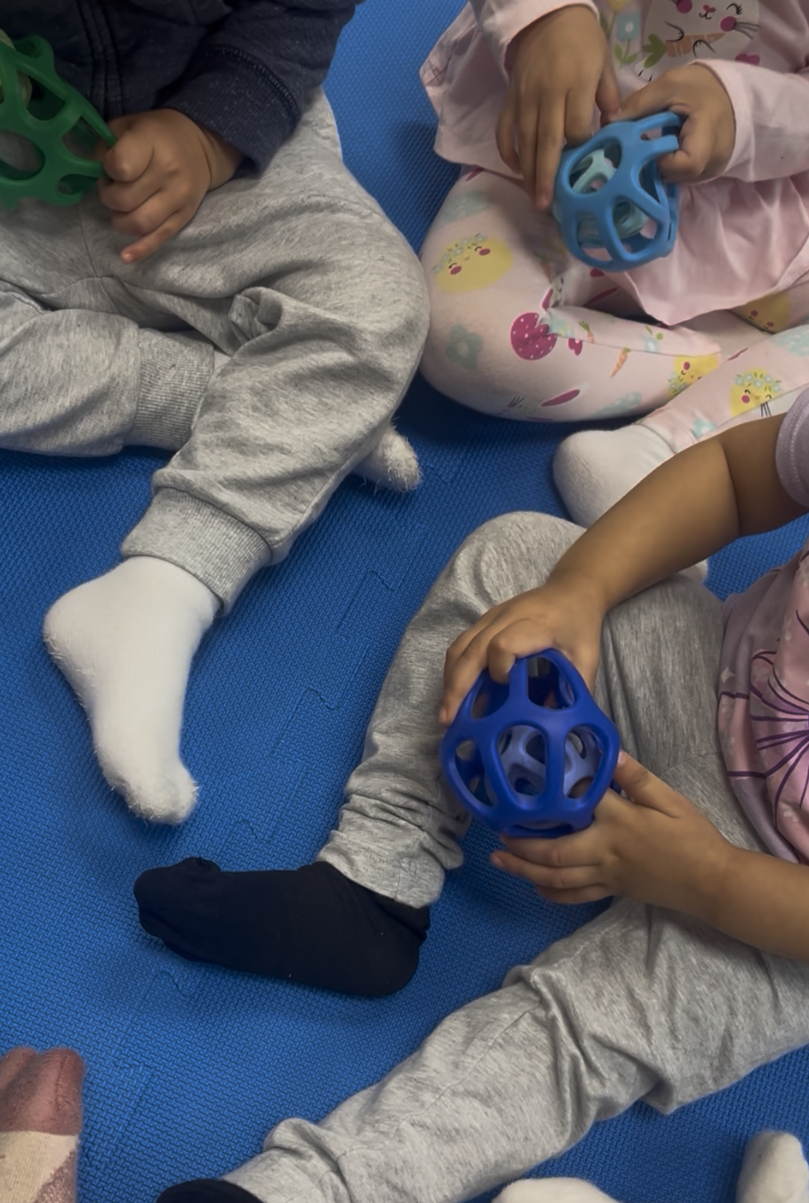 3 Month School Program