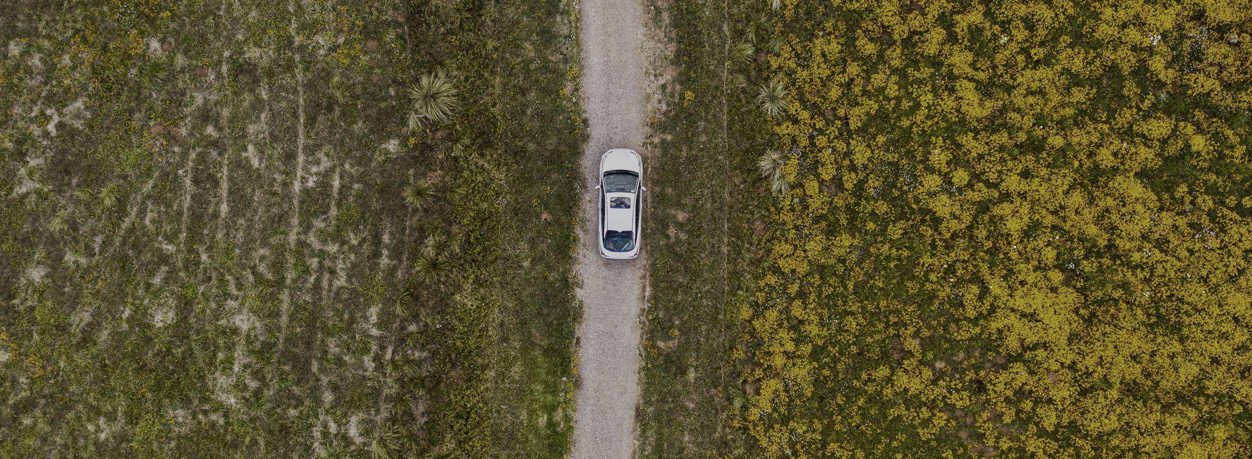 Vista aérea de un auto plateado en un camino de grava, rodeado de vegetación en ambos lados, en un paisaje natural con arbustos y árboles.