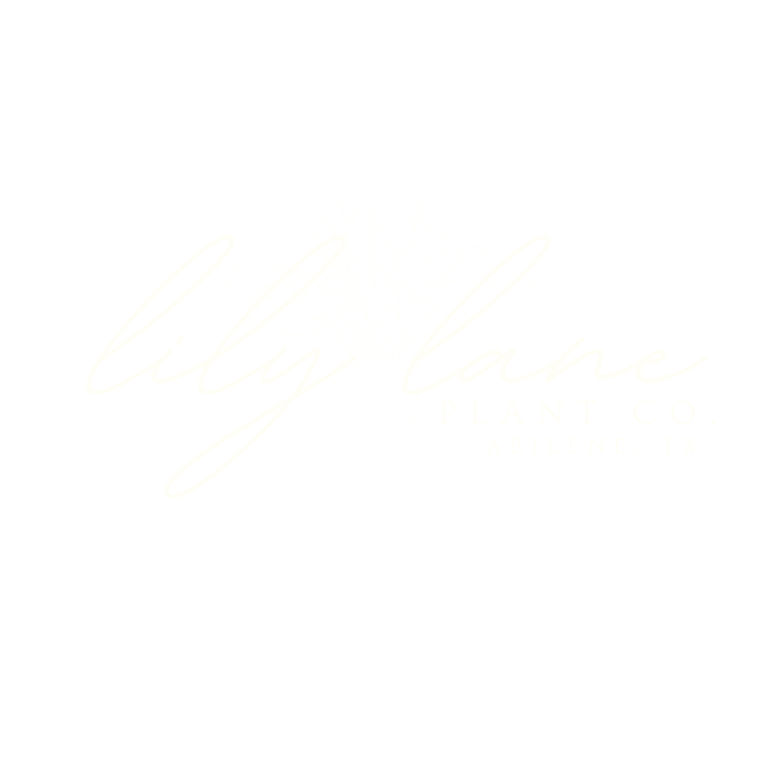 Lily Lane Plant Co. | Discover, Learn, Grow – Join Us Today