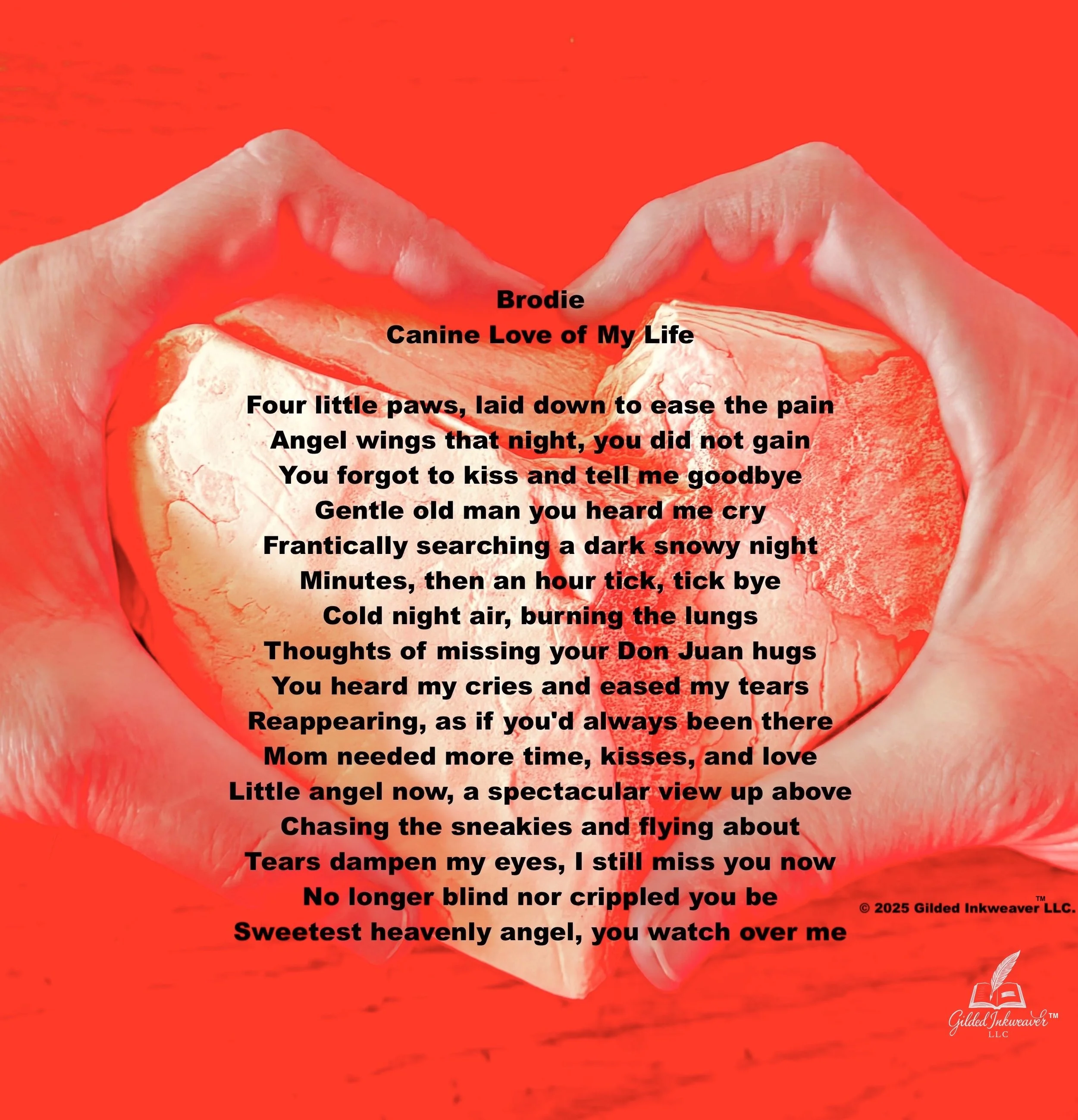 Brodie, Canine Love of My Life