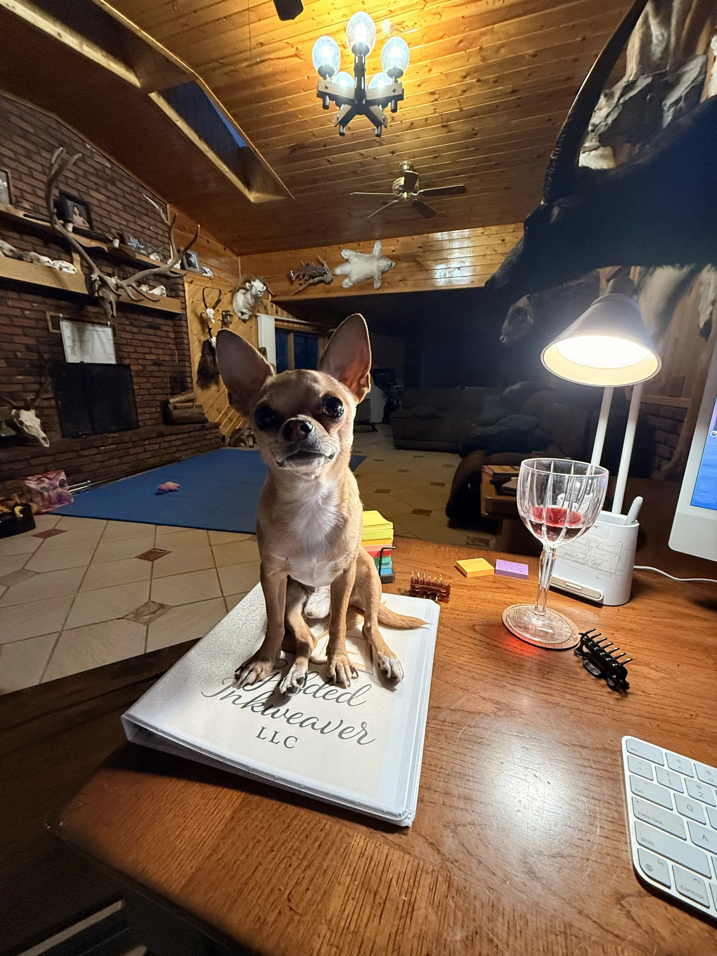 Teddy, the small Chihuahua, is sitting on a binder with the text 'Handcrafted Inkweaver LLC' on a wooden desk in a cozy room decorated with animal mounts, including antlers and a bear helping mom write.
