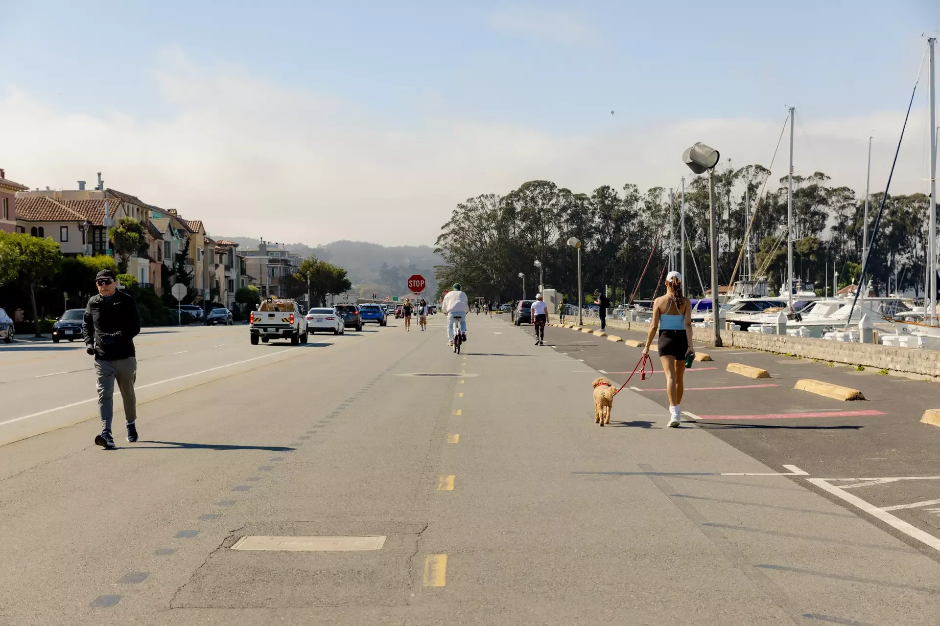 A photo of pedestrians walking their dog or running at Marina Green