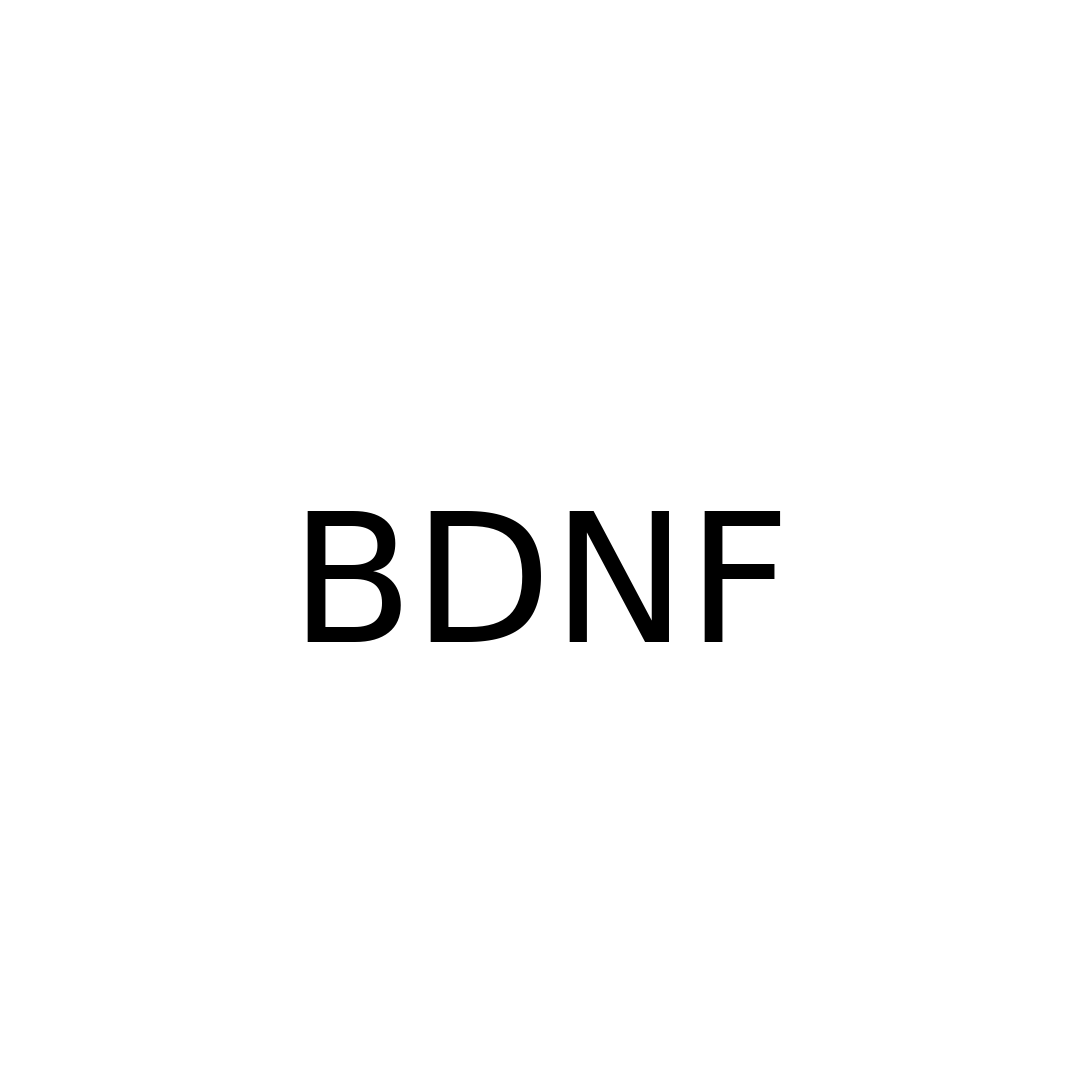 BDNF