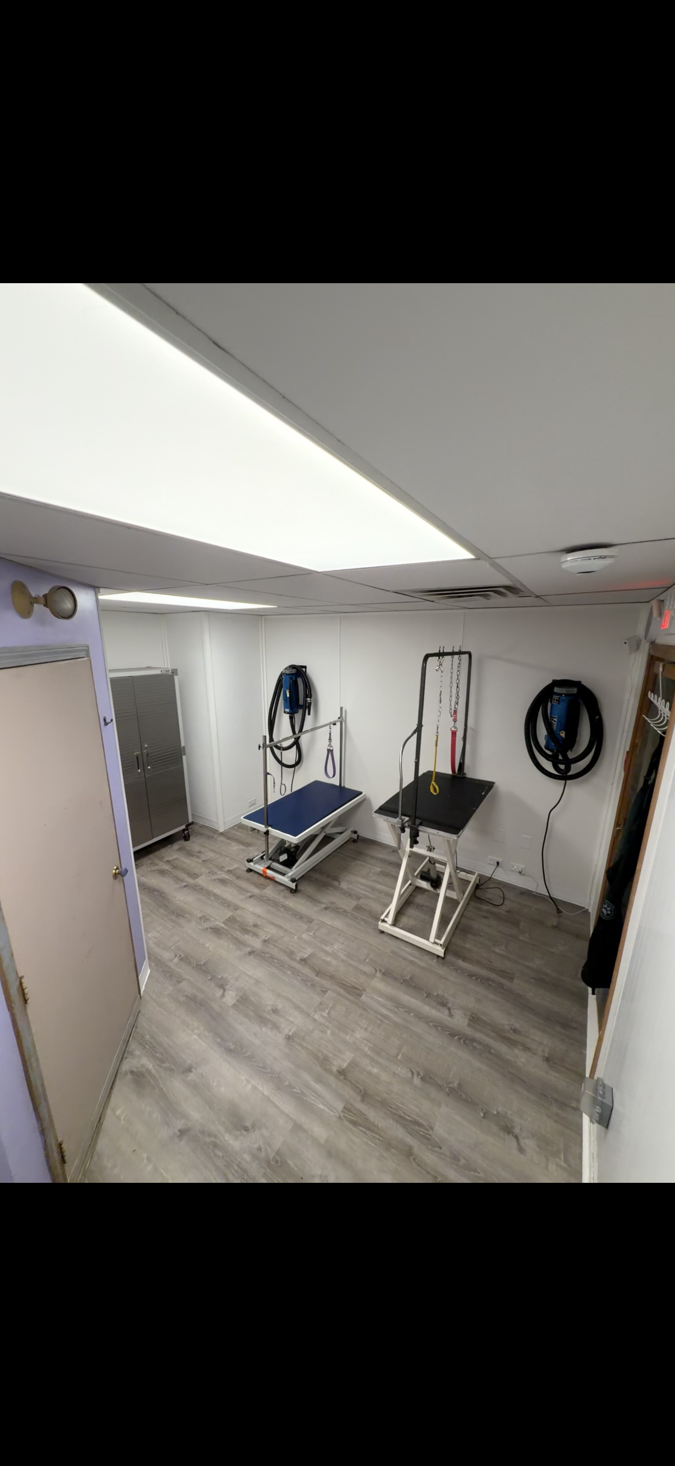 washroom renovations for a dog grooming salon