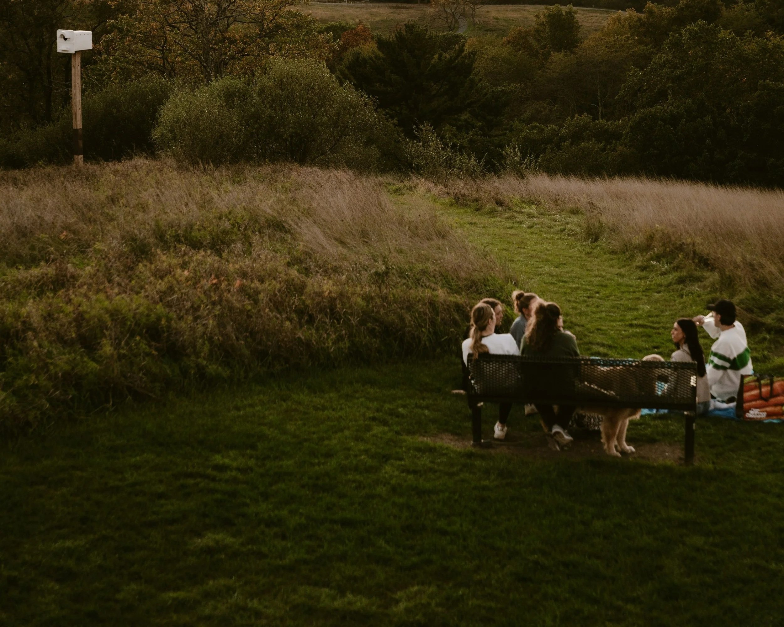 What Could’ve Been, What is and What Could Be: The Grief of Marginalization