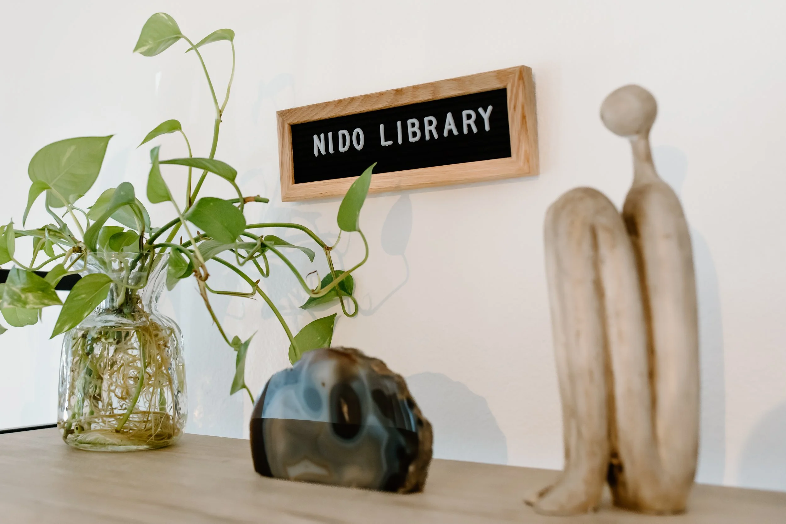 Photo of a bookshelf with a plant, large crystal, and small white statue with a plaque above that says Nido Library
