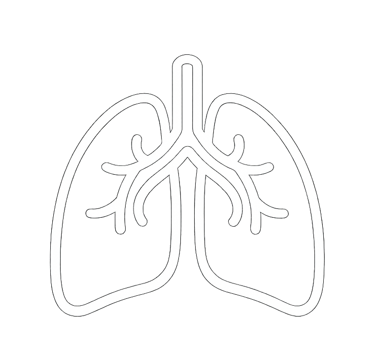 Organ-only transportation icon